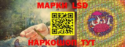 спайс Малгобек