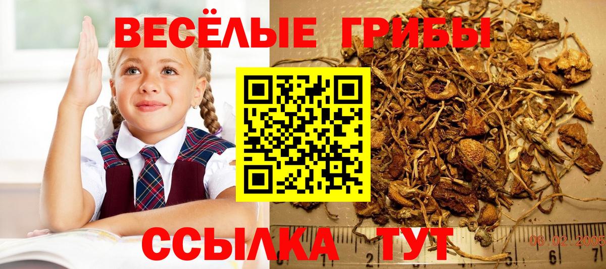 Псилоцибиновые грибы MAGIC MUSHROOMS  Вход с VPN  Галлюциногенные грибы Psilocybine cubensis  Алапаевск 
